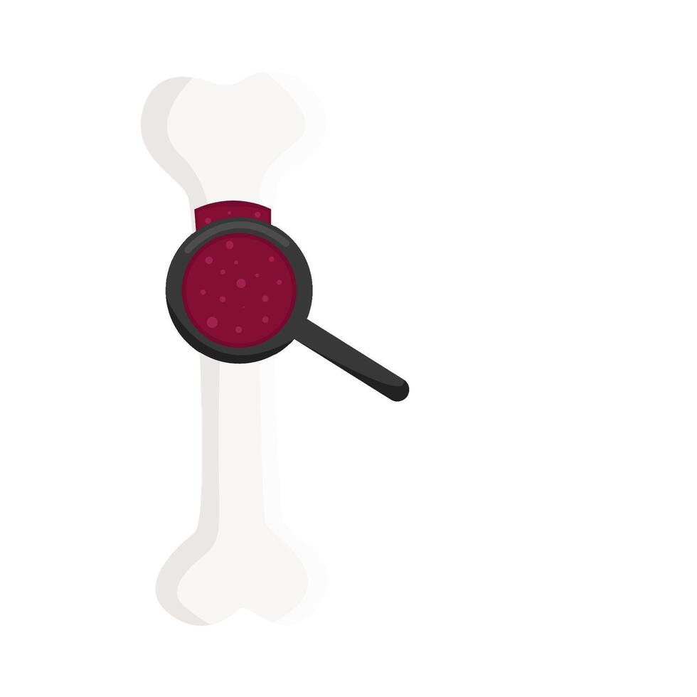 bone with magnifying glass illustration vector