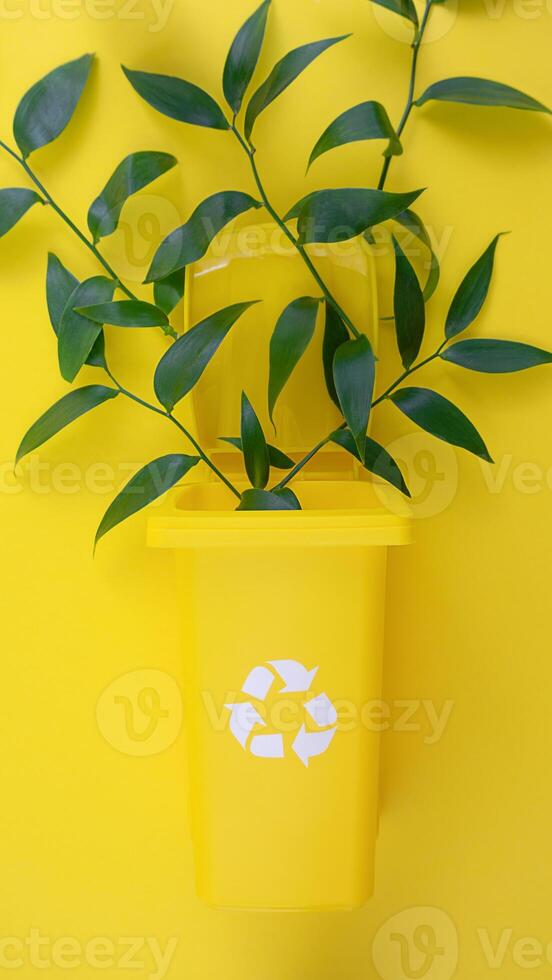 Yellow Trash Can With Plant photo
