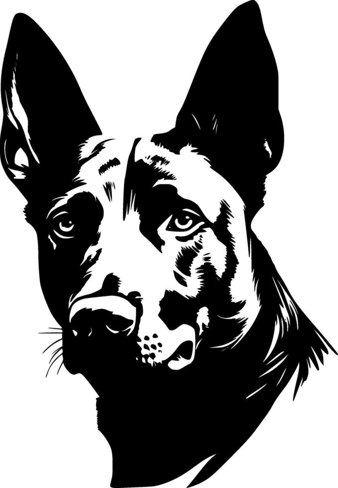 Australian Kelpie, Minimalist and Simple Silhouette - Vector illustration
