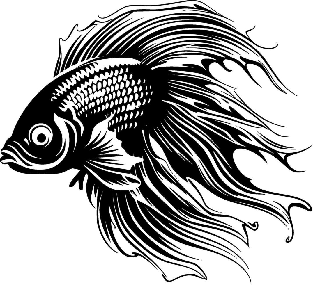 Betta Fish - High Quality Vector Logo - Vector illustration ideal for T-shirt graphic