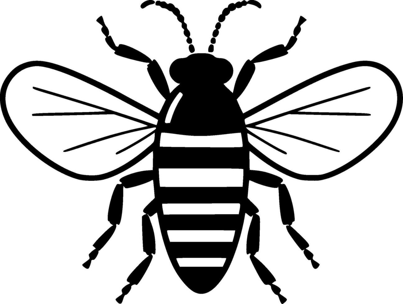Cockroach - Black and White Isolated Icon - Vector illustration