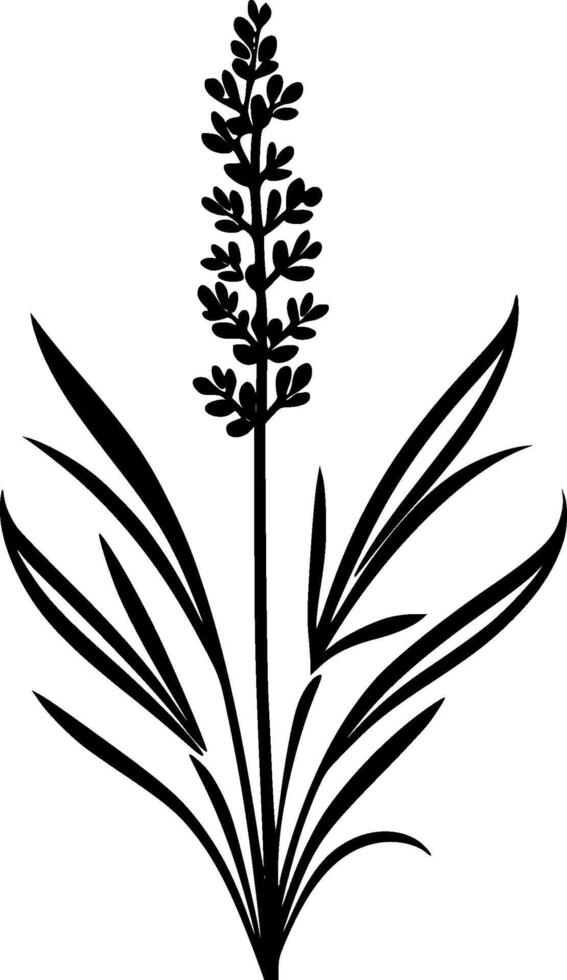 lavanda, minimalista y sencillo silueta - vector ilustración