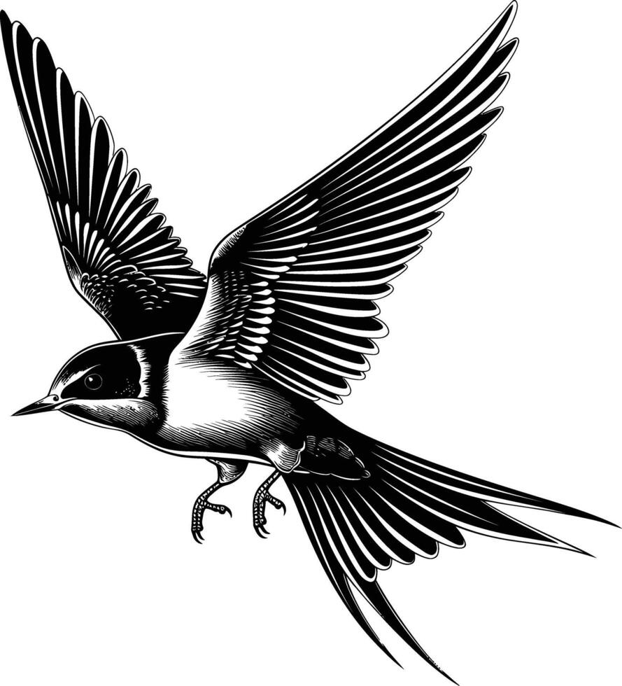 AI generated Silhouette swallow bird flaying black color only full body vector