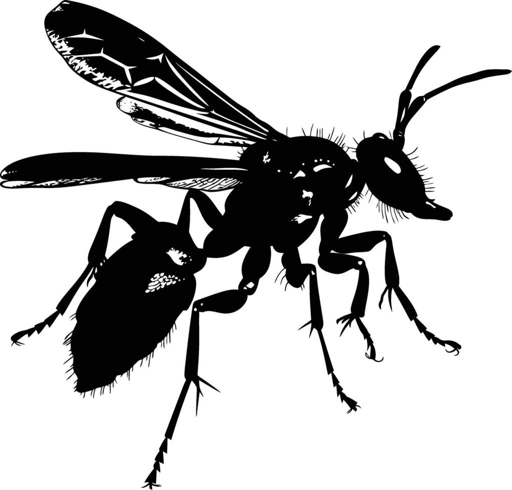 AI generated Silhouette wasp animal black color only full body vector
