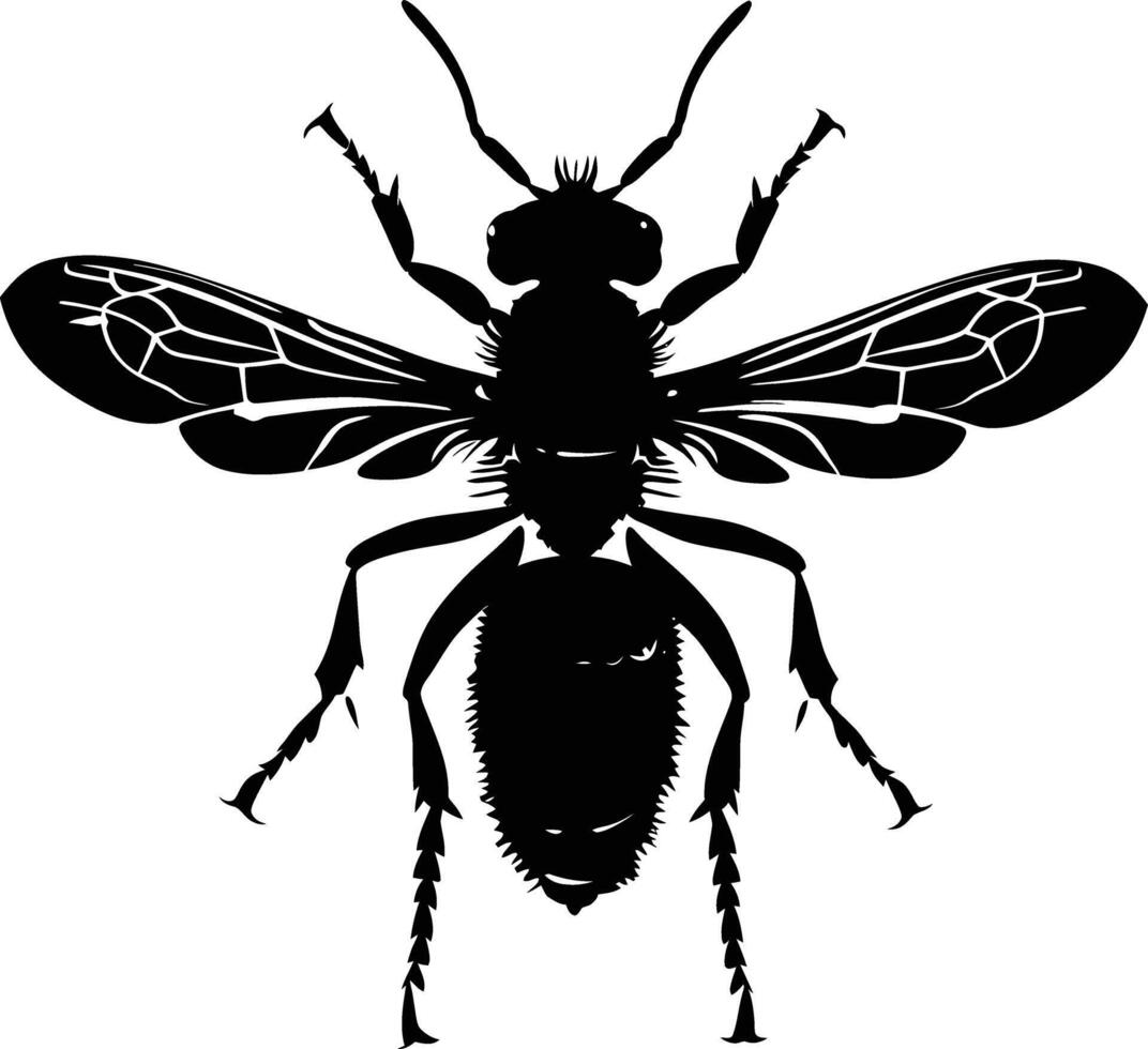 AI generated Silhouette wasp animal from top black color only full body vector