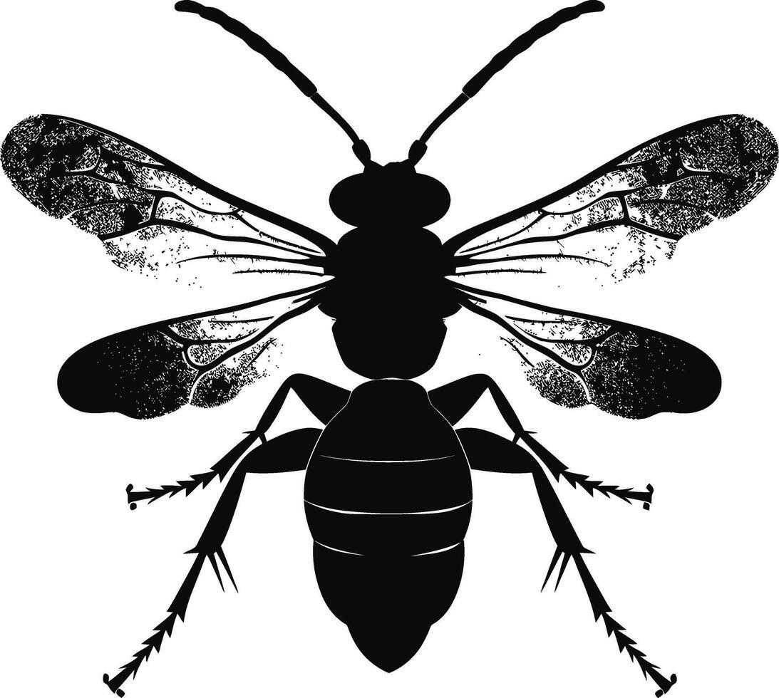 AI generated Silhouette wasp animal from top black color only full body vector