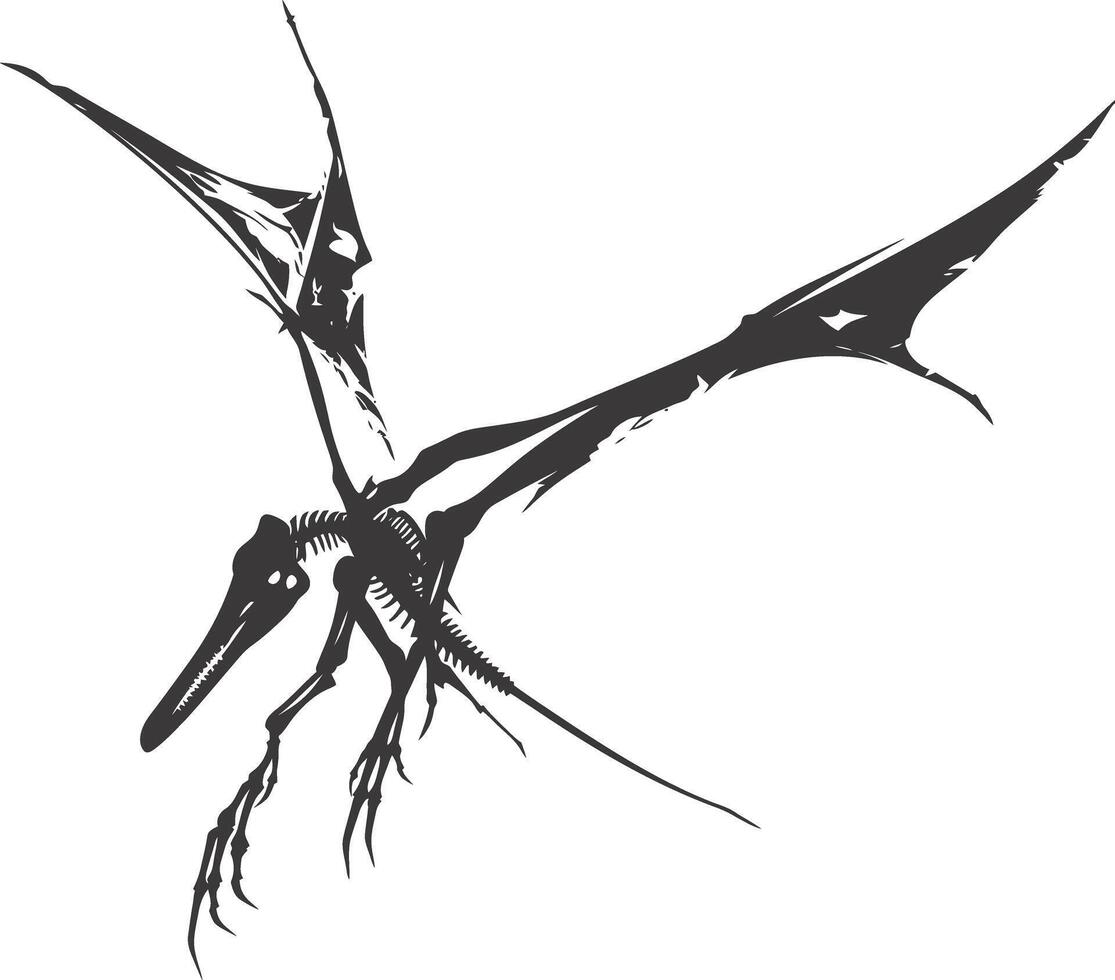 AI generated Silhouette Dinosaur Pterodactyl skeleton black color only vector