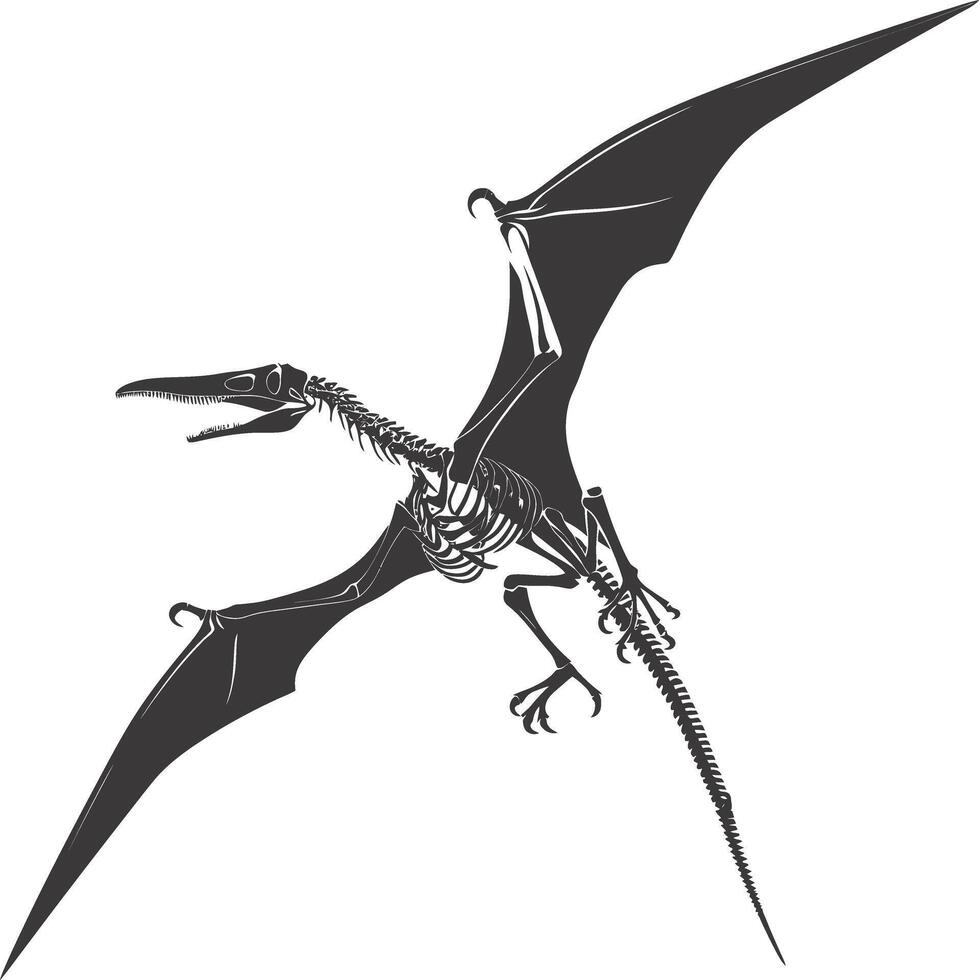 AI generated Silhouette Dinosaur Pterodactyl skeleton black color only vector