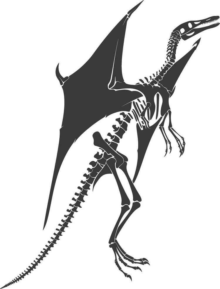 AI generated Silhouette Dinosaur Pterodactyl skeleton black color only vector