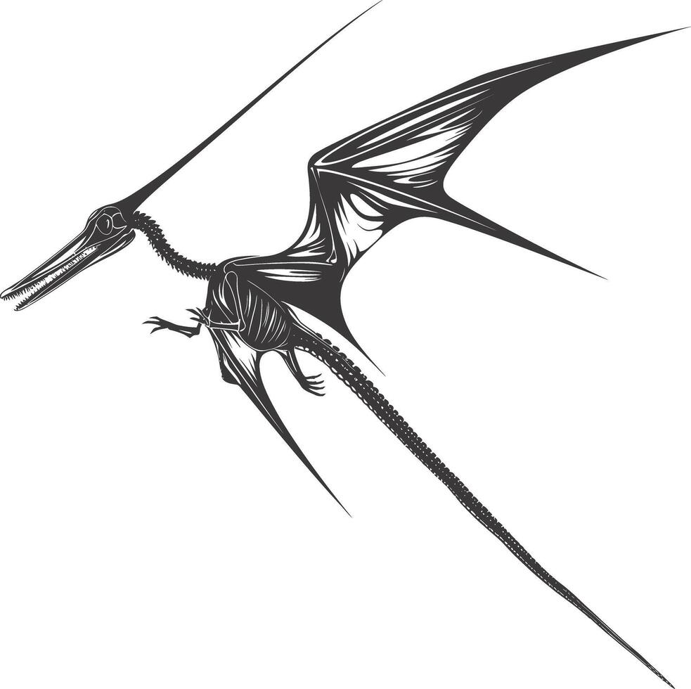 ai generado silueta dinosaurio pterodáctilo esqueleto negro color solamente vector