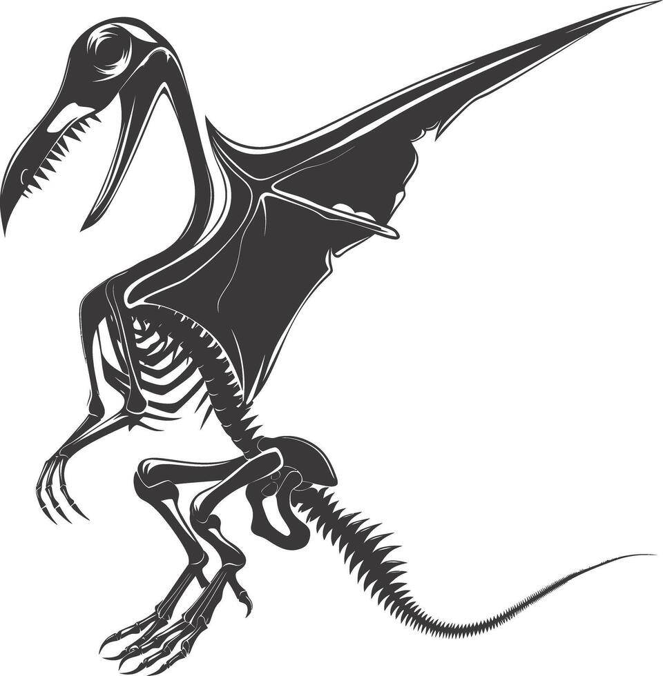 AI generated Silhouette Dinosaur Pterodactyl skeleton black color only vector