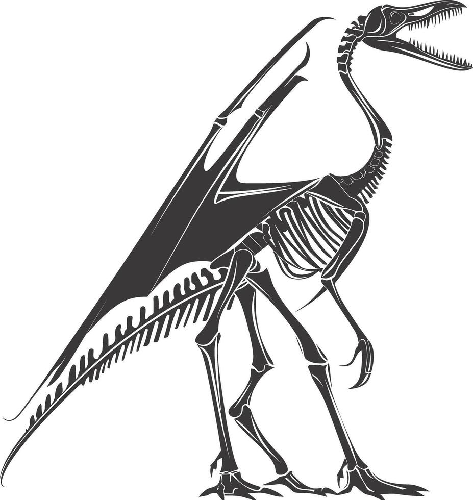 AI generated Silhouette Dinosaur Pterodactyl skeleton black color only vector