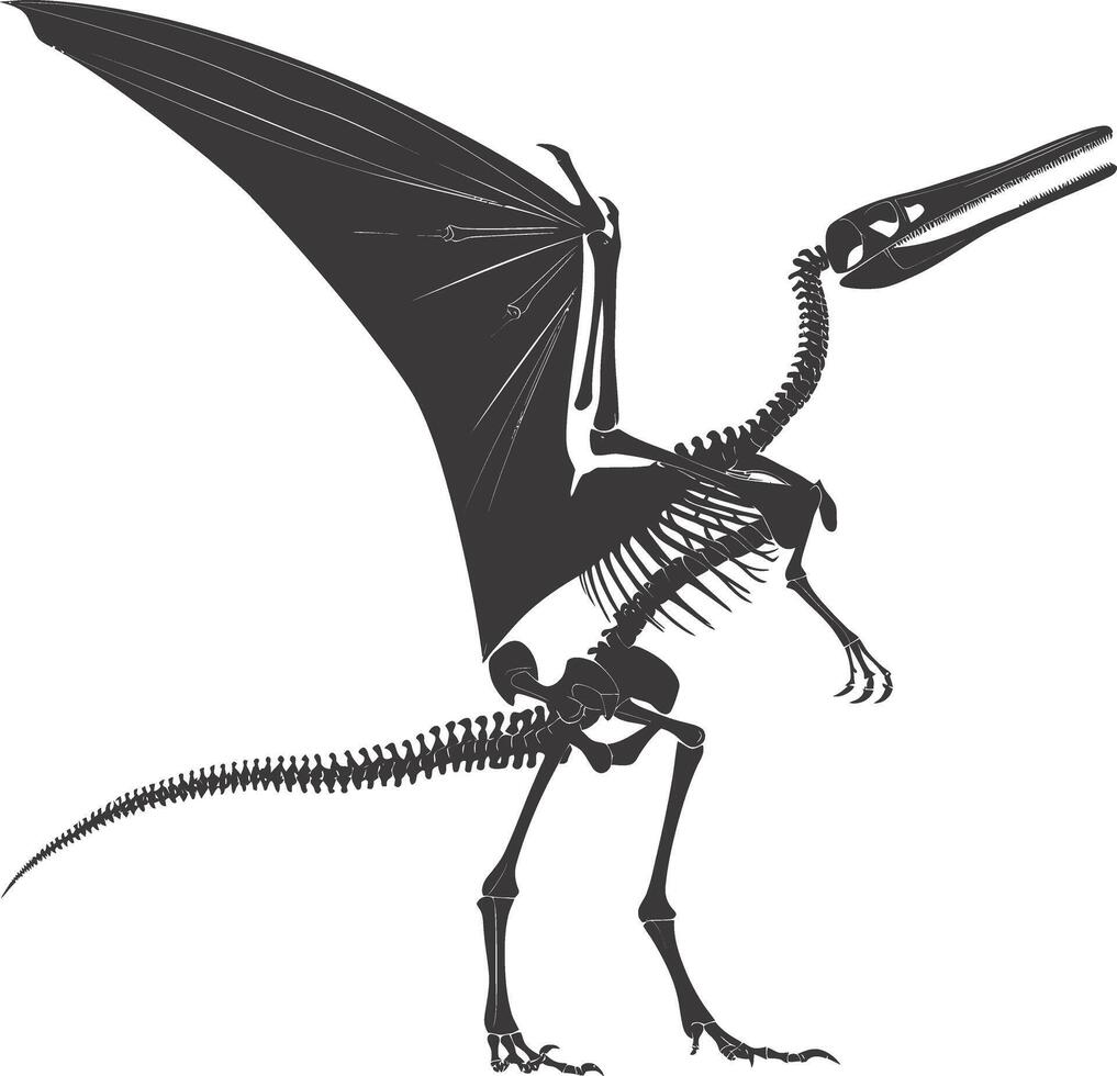 AI generated Silhouette Dinosaur Pterodactyl skeleton black color only vector