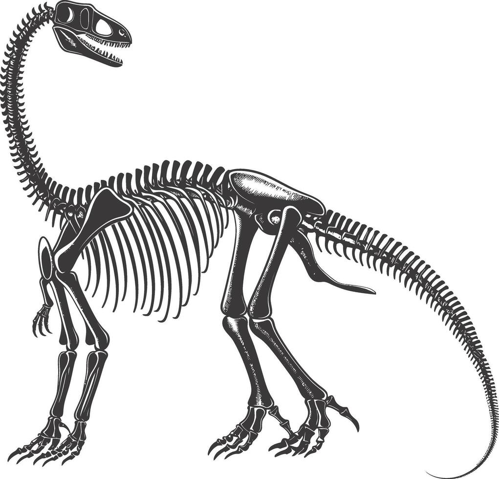 ai generado silueta dinosaurio esqueleto negro color solamente vector