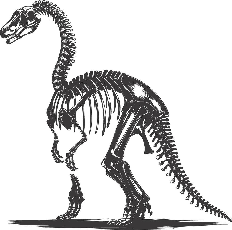 AI generated Silhouette Dinosaur skeleton black color only vector