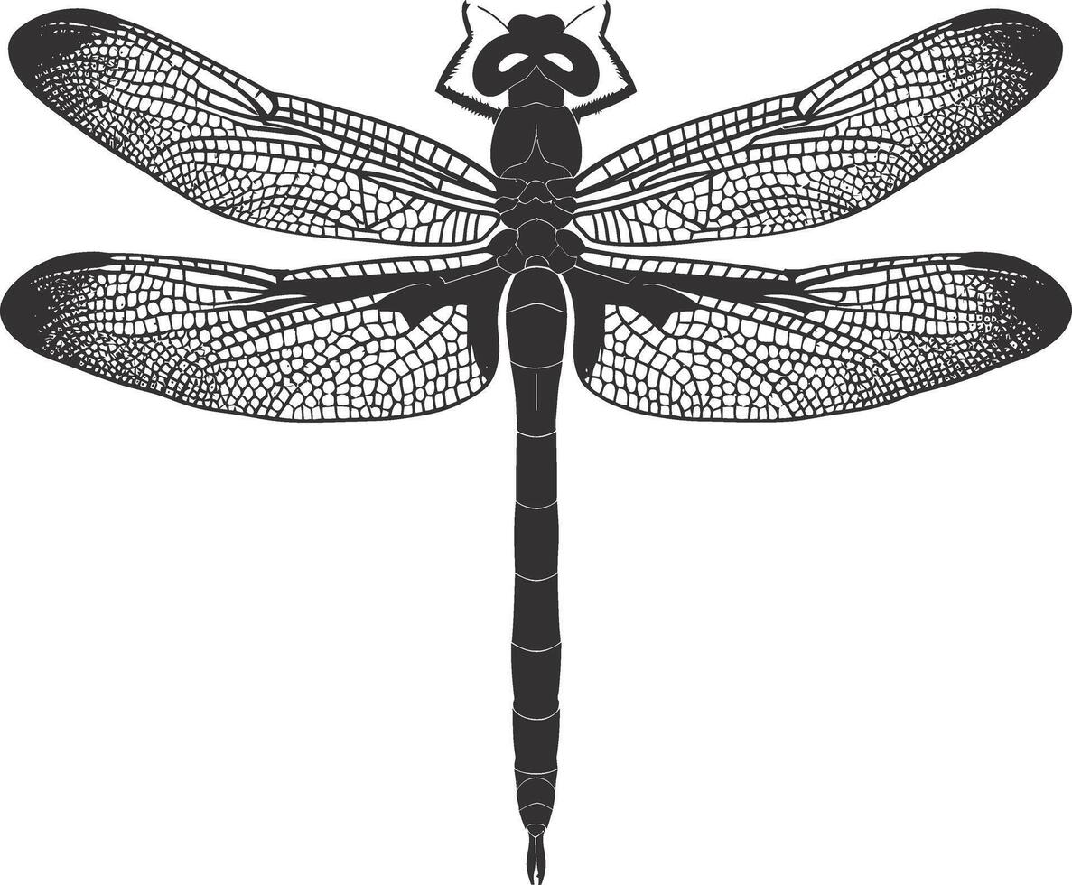 AI generated Silhouette Dragonfly black color only full body vector