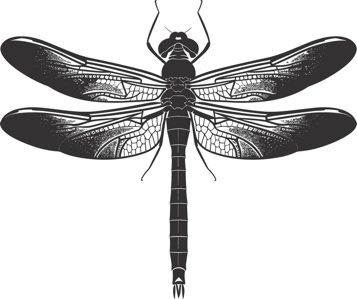 AI generated Silhouette Dragonfly black color only full body vector