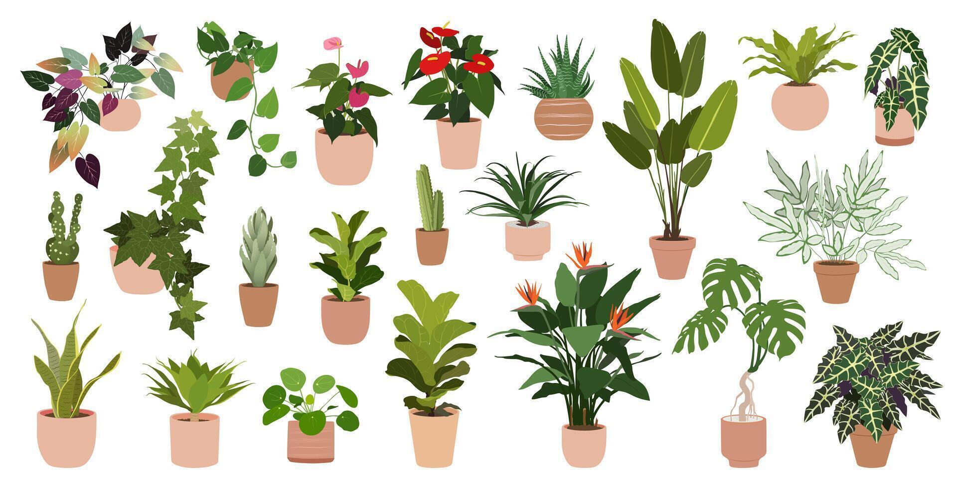 un conjunto de de moda plantas de interior varios interior plantas aislado en un blanco antecedentes vector