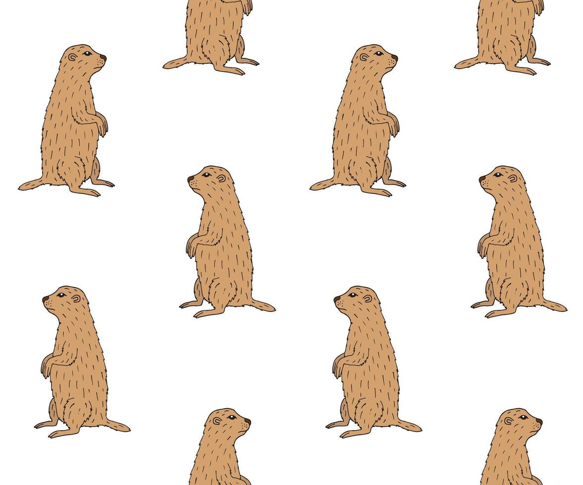 Vector seamless pattern of doodle groundhog marmot