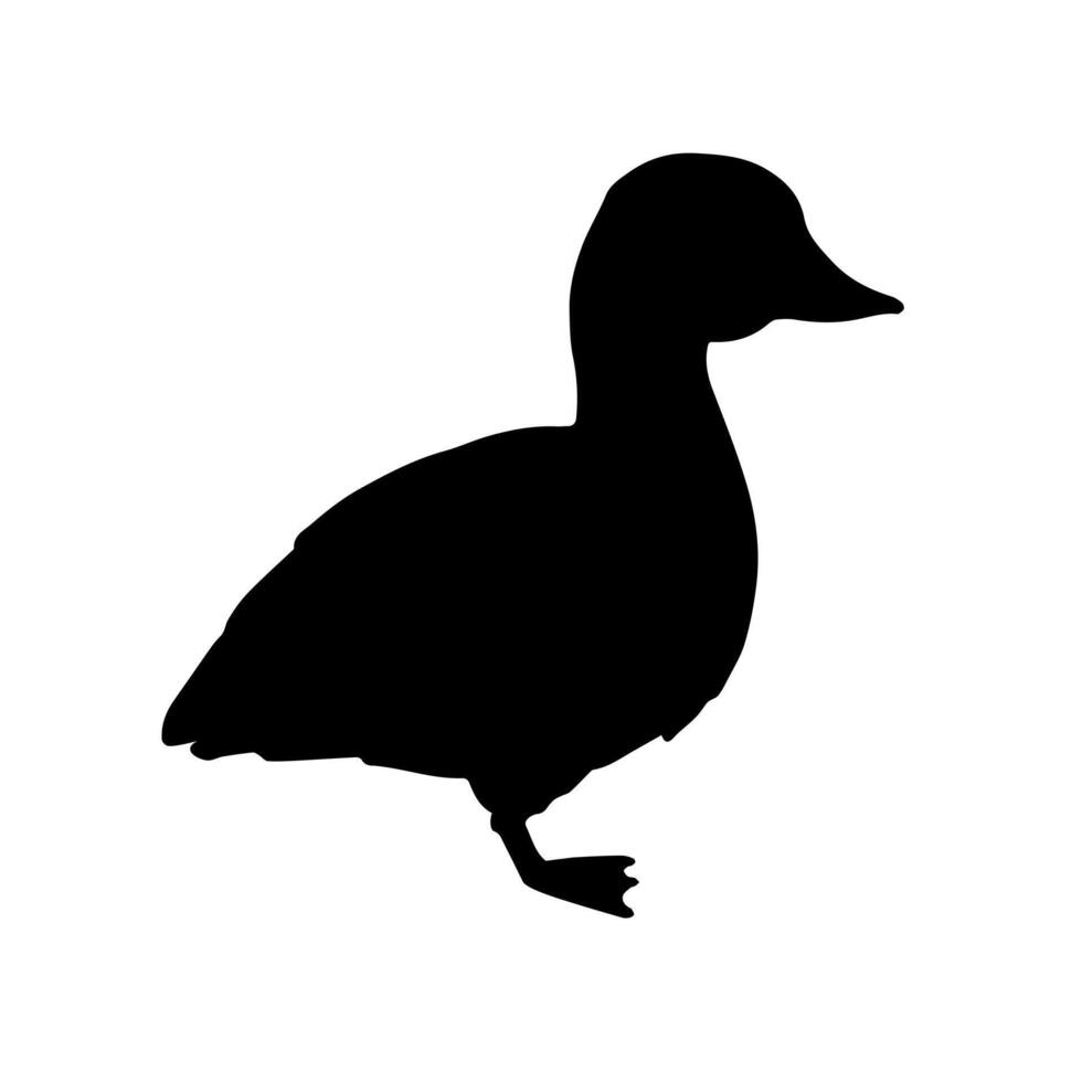 Vector hand drawn doodle sketch baby duckling silhouette