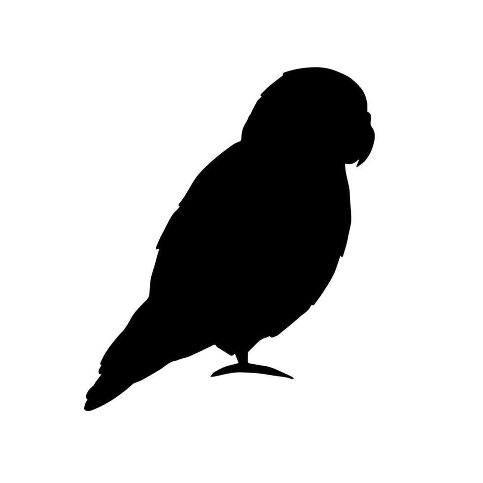 Vector hand drawn doodle lovebird parrot silhouette