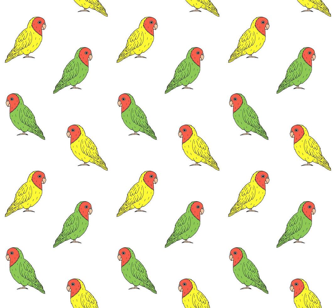 Vector seamless pattern of doodle lovebird parrot