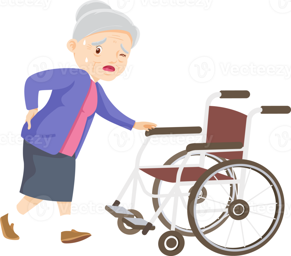 elderly woman on wheelchair png