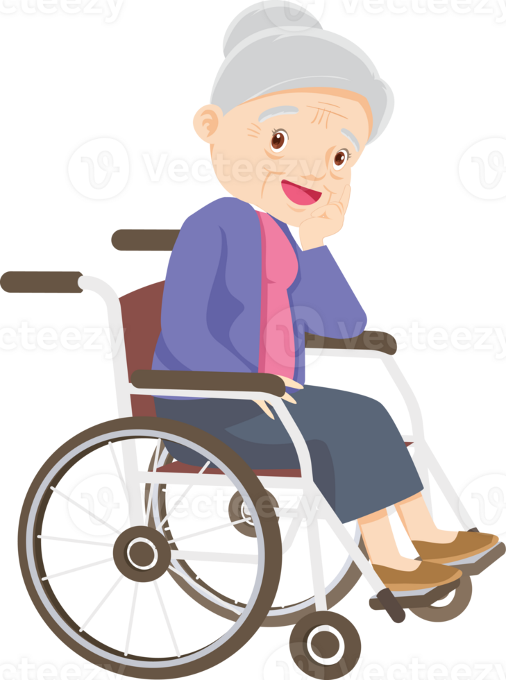 elderly woman on wheelchair png