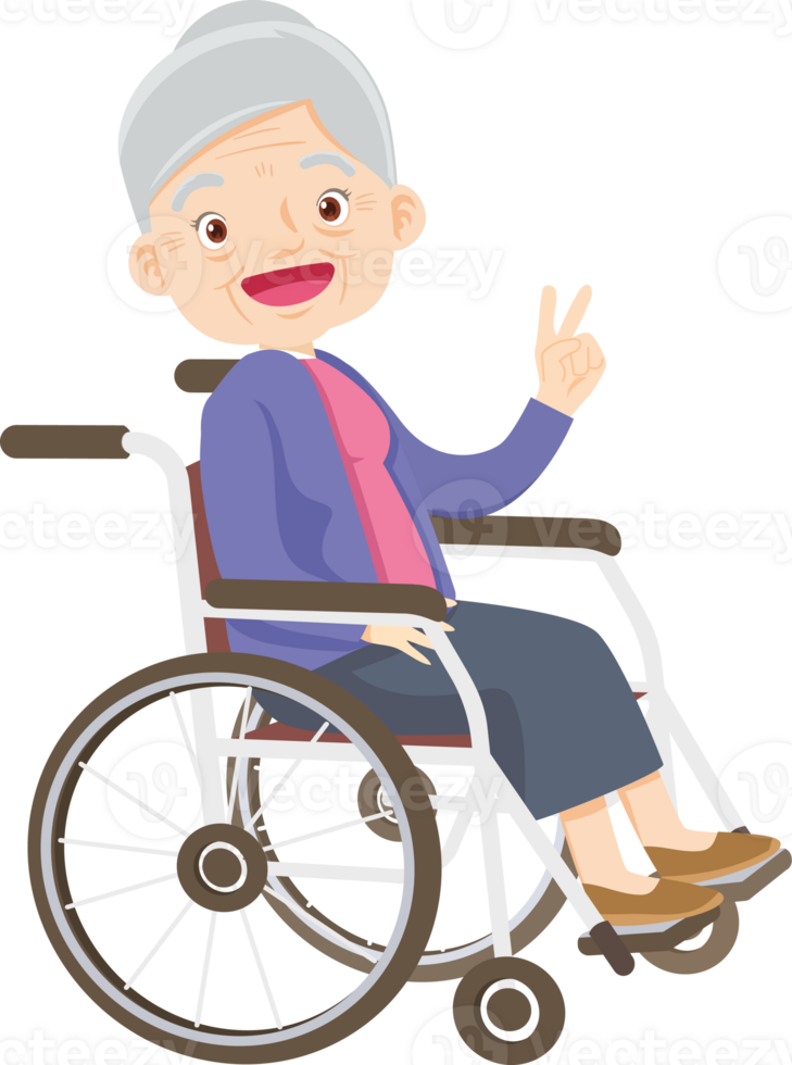 elderly woman on wheelchair png