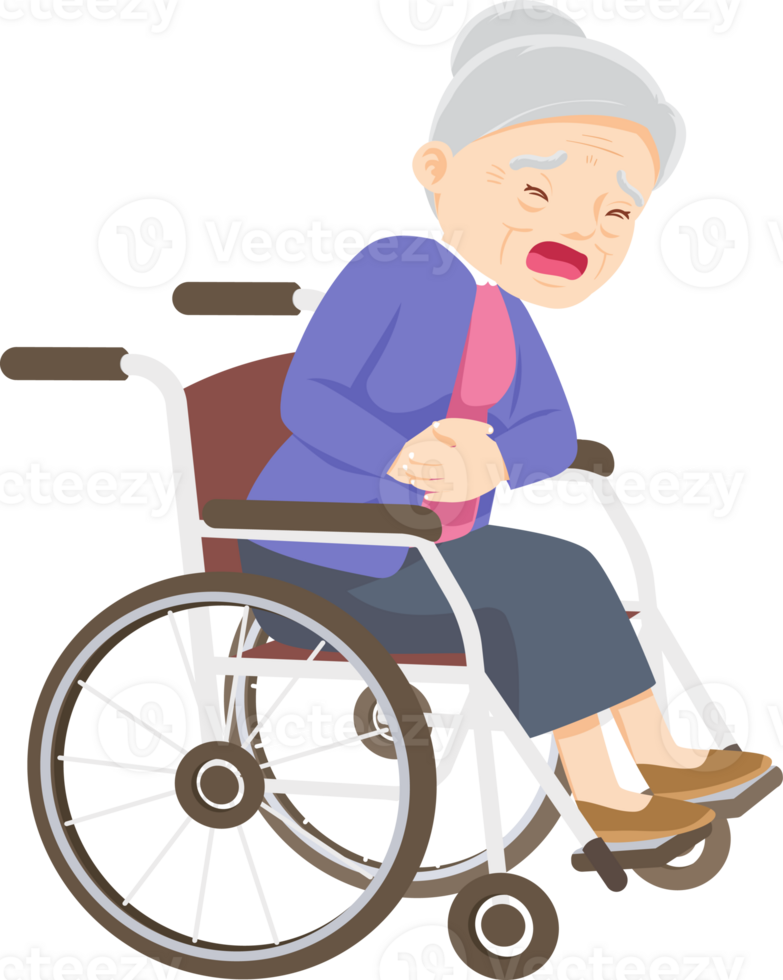 elderly woman on wheelchair png