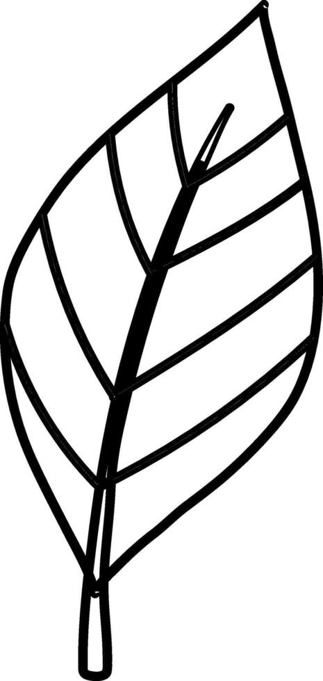 Plant leaves tree doodle decoration design. vector