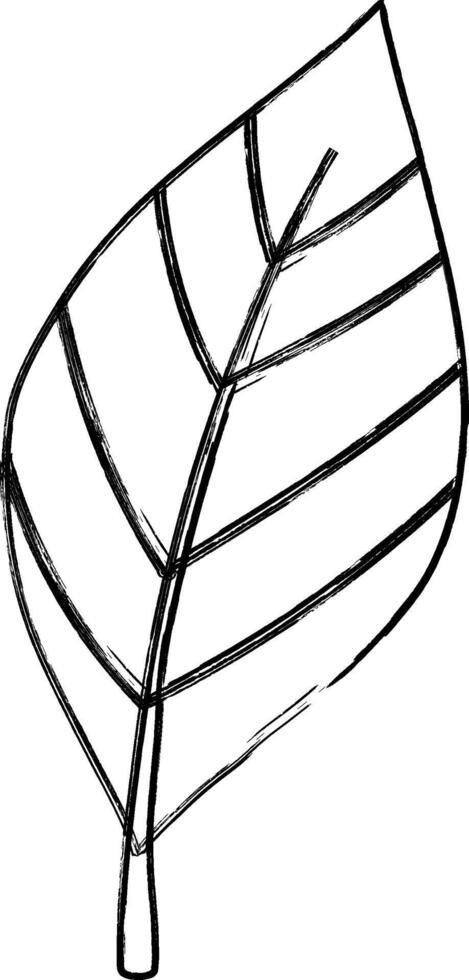 Plant leaves tree doodle decoration design. vector