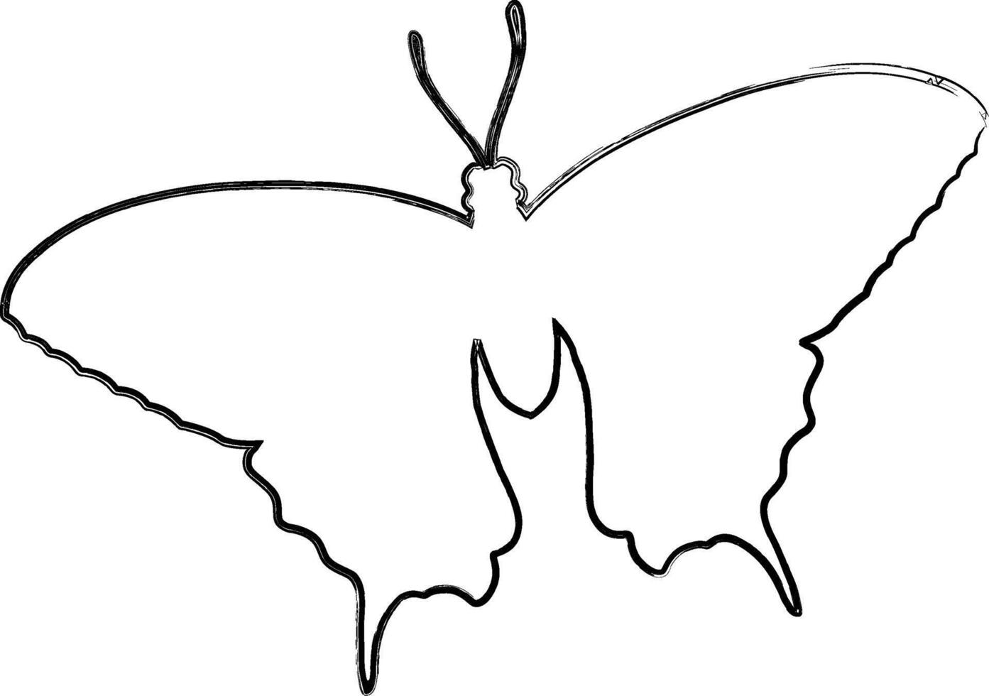 Butterfly drawing design nature insects. vector