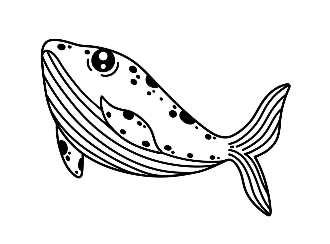 Whale vector illustration. Cute animal dives, swims in the ocean. Black and white sketch, hand drawn doodle. A huge spotted fish with a striped belly. Marine mammal, funny pet. Coloring book for kids