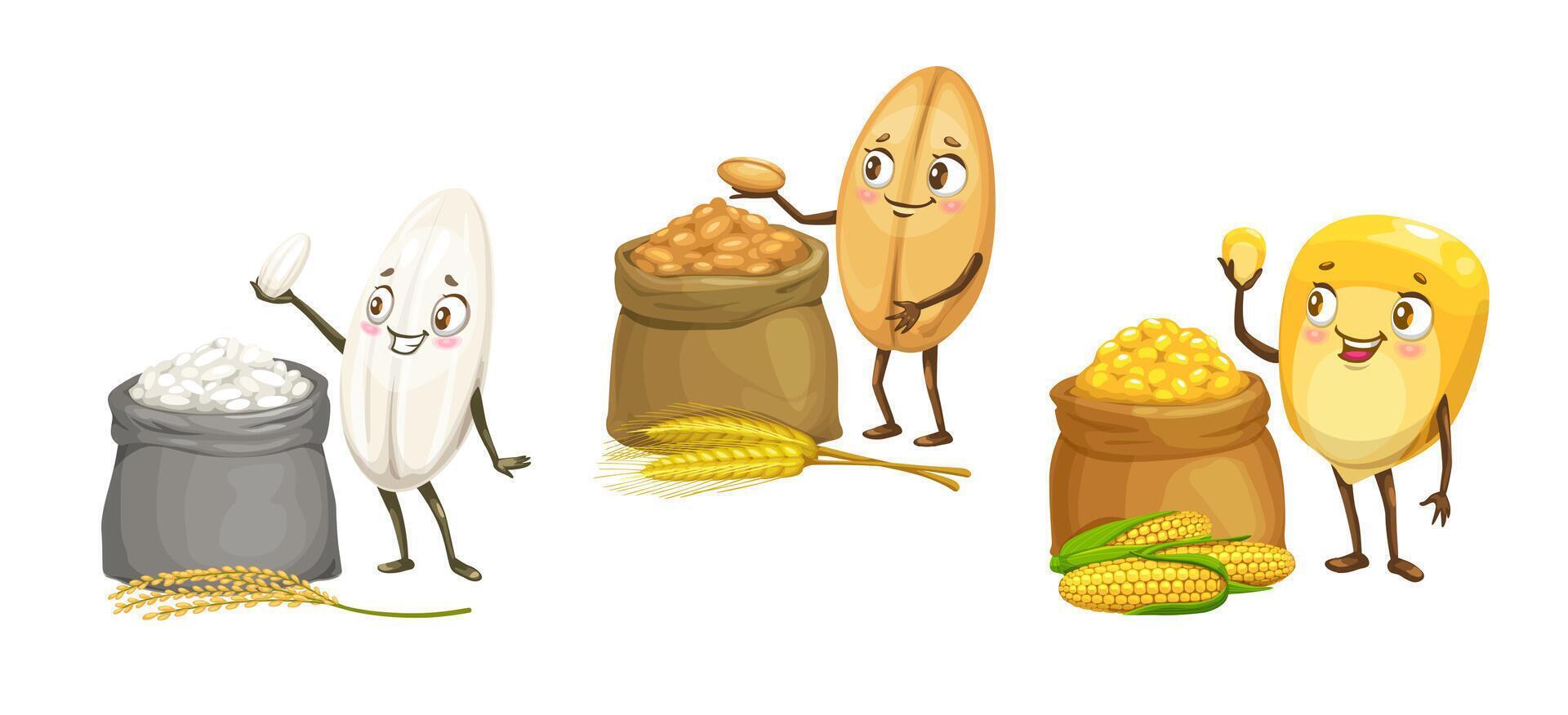 Rice, wheat, corn, cartoon grain cereal characters vector