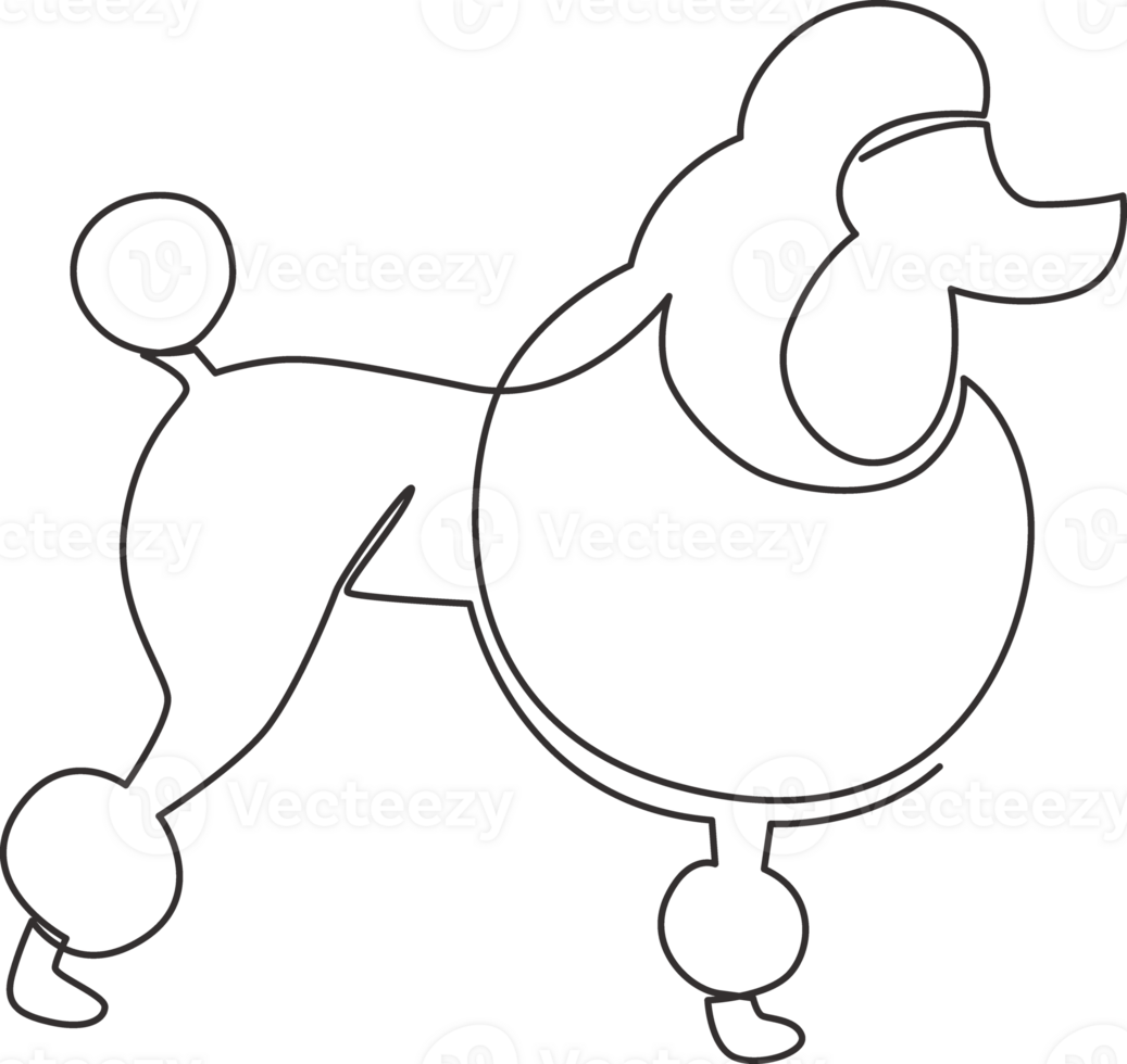 Single continuous line drawing of simple cute poodle puppy dog icon. Pet animal logo emblem concept. Modern one line draw design graphic illustration png