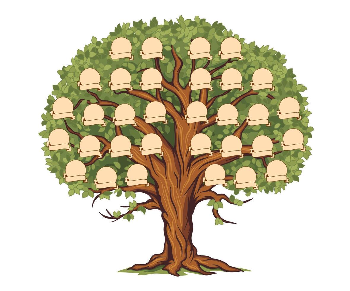 Genealogy family history tree with photo frames vector