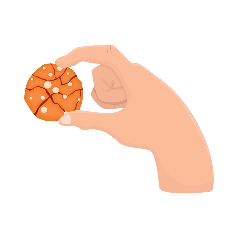 Illustration of cookies vector