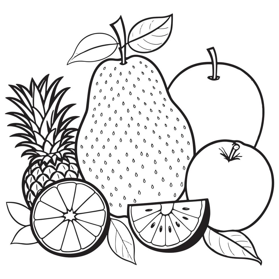Fruits outline coloring page illustration for children and adult vector