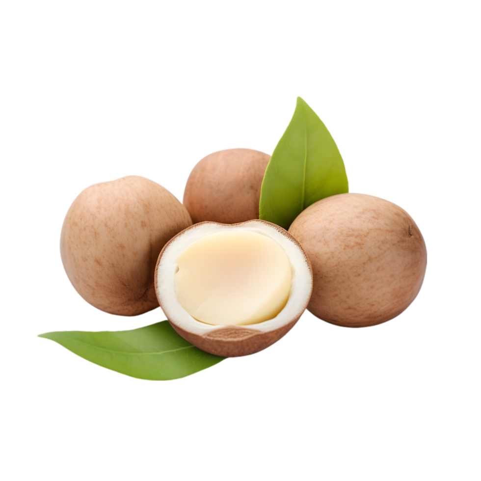 AI generated Macadamia Nuts on transparent background PNG image