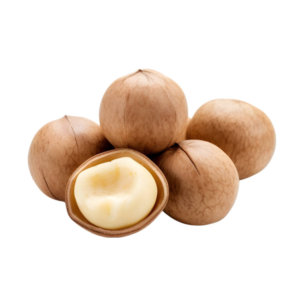 AI generated Macadamia Nuts on transparent background PNG image