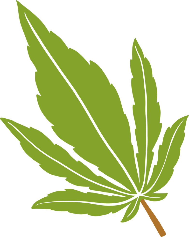 simplicity cannabis leaf freehand drawing png