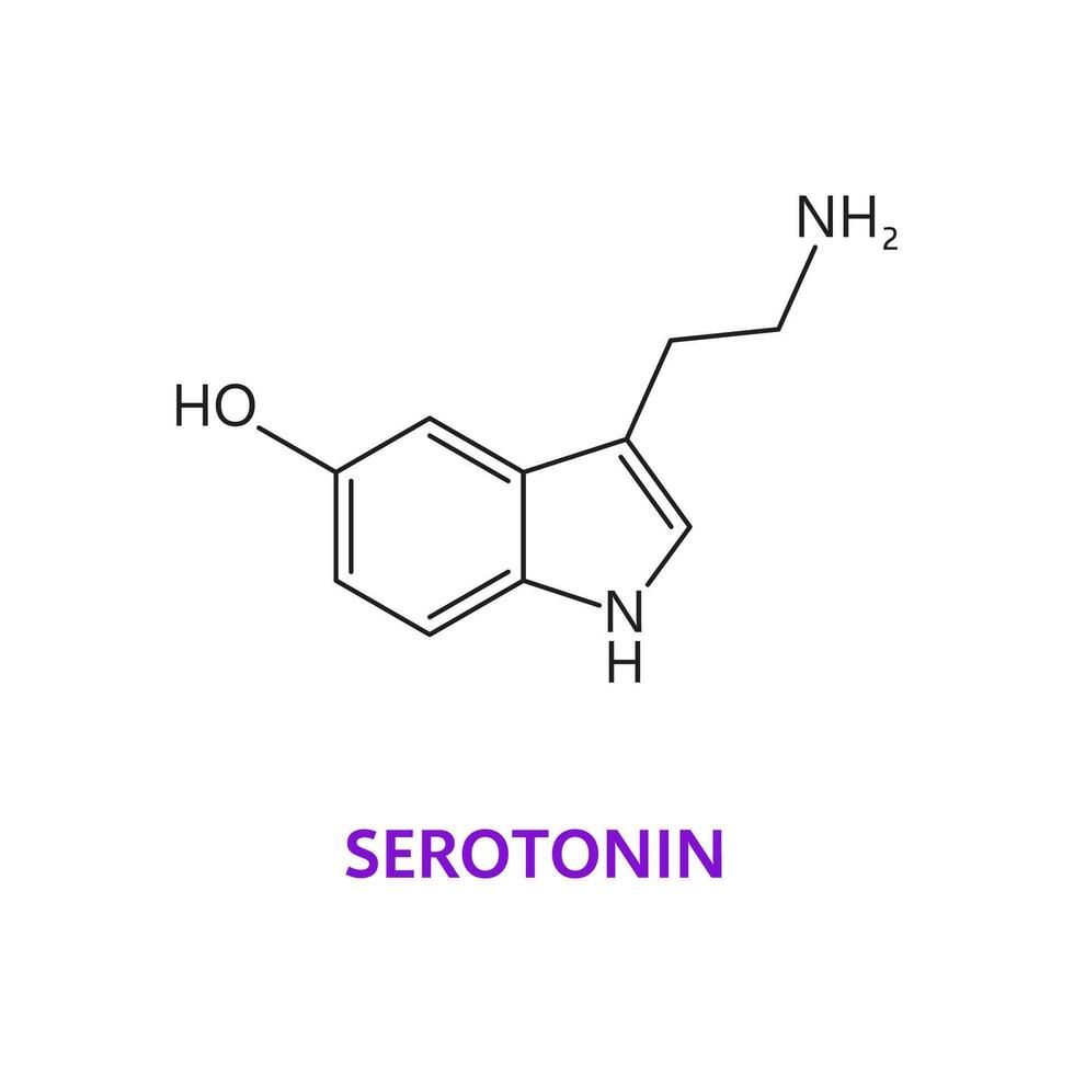 neurotransmisor serotonina químico fórmula vector