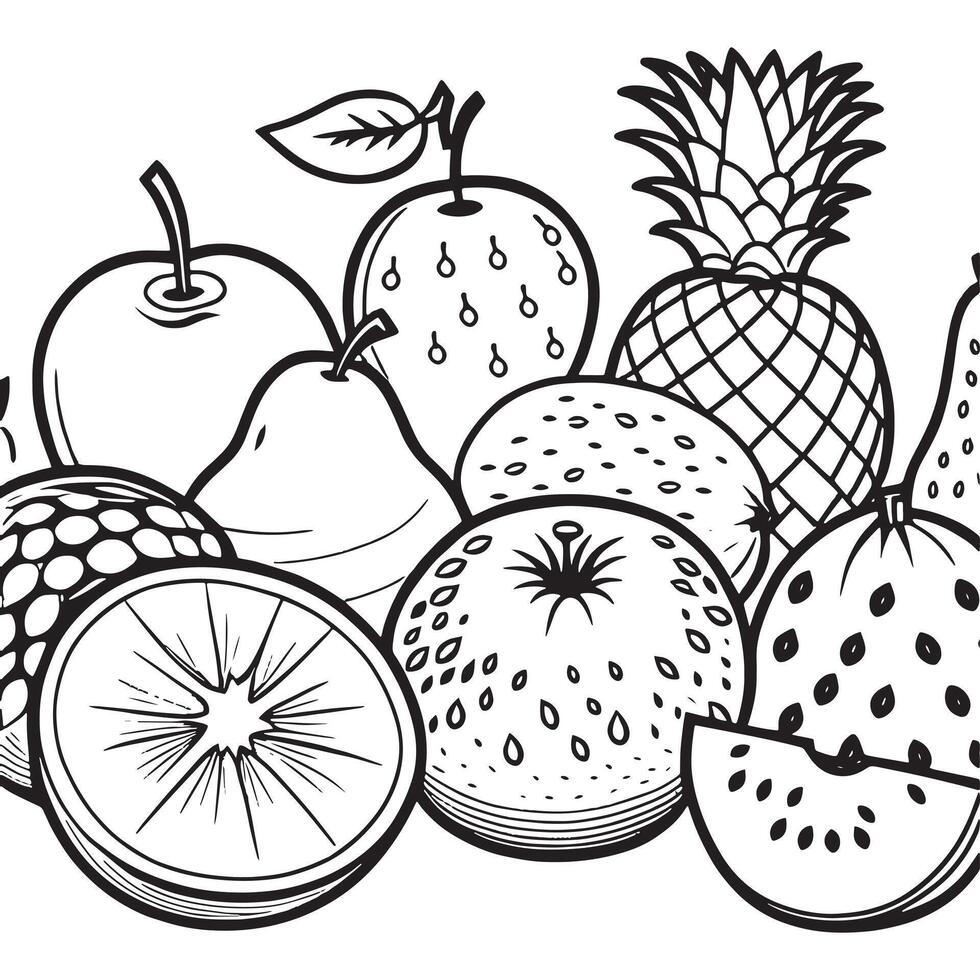 Fruits outline coloring page illustration for children and adult vector
