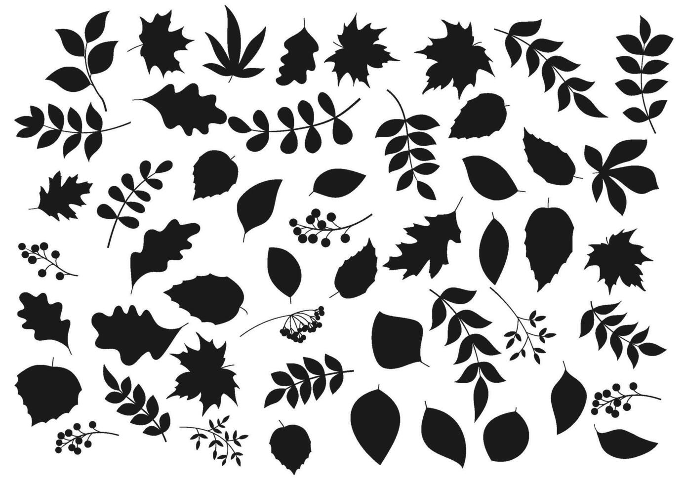 Leaves and berries vector black silhouettes set