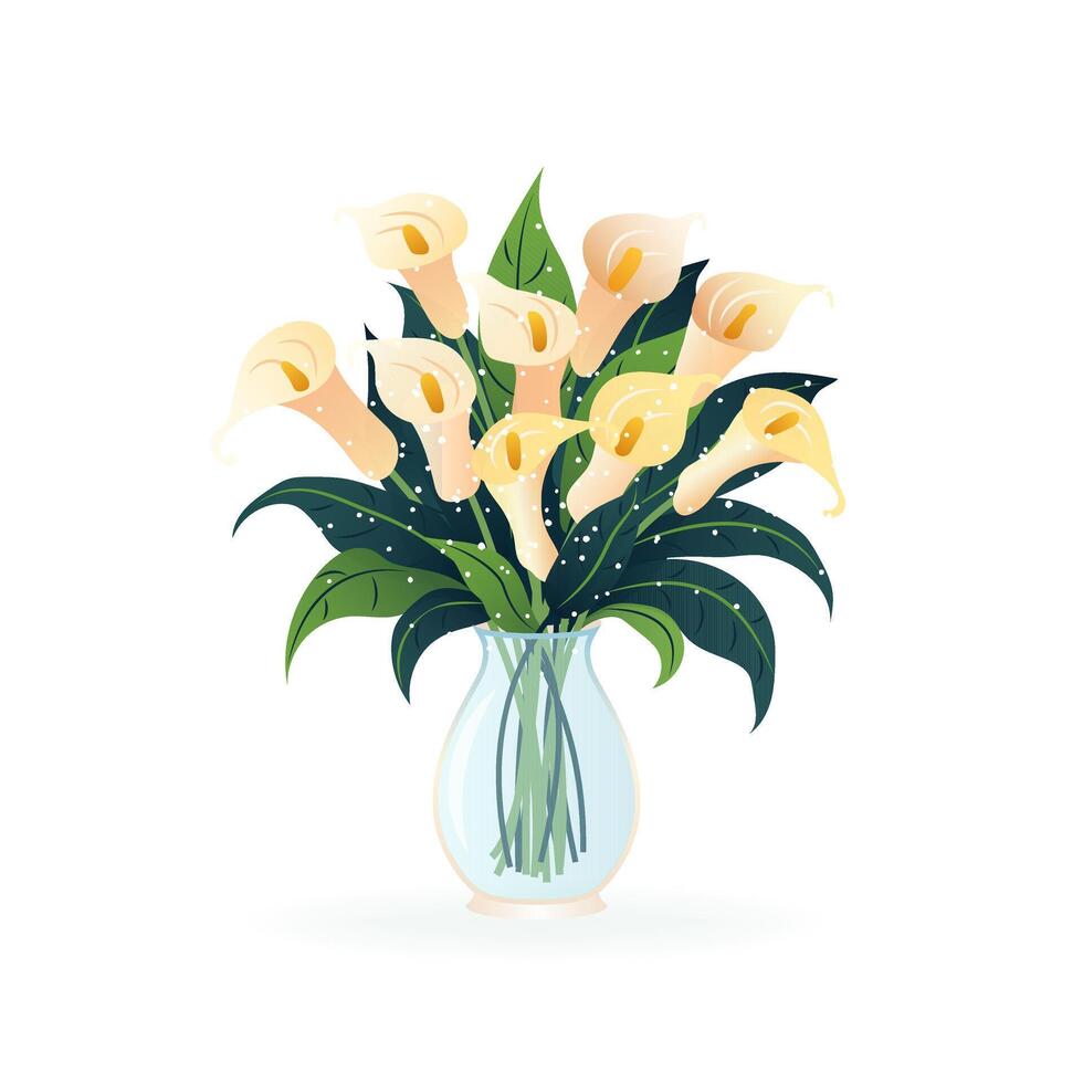 Bouquet of calla lilies. Flowers in vase. isolated vector illustration on white background. Modern art for poster, postcard, banner, card and etc. Vector clip art. Women's Day, Mother's Day.