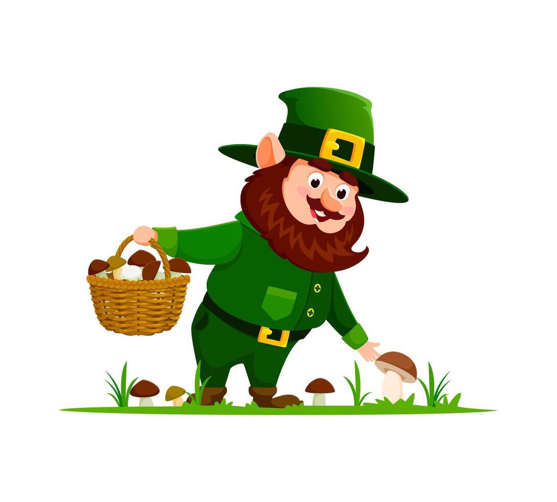 Cartoon gnome or dwarf picking mushrooms in forest vector