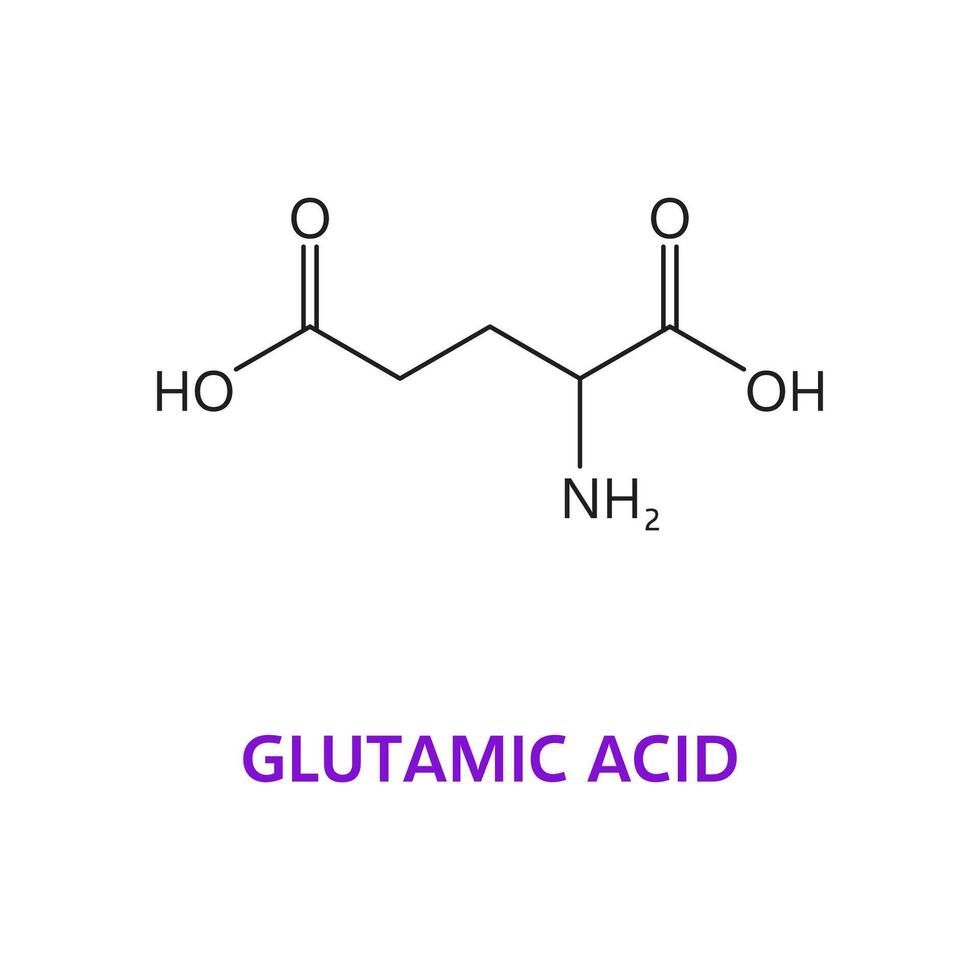 neurotransmisor glutámico ácido químico fórmula vector