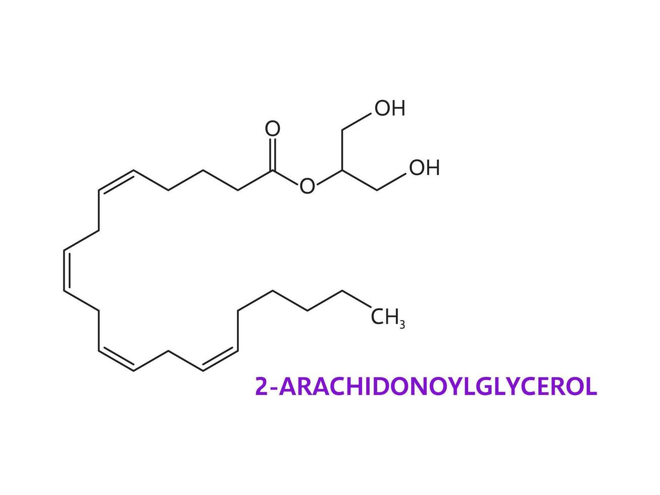 Neurotransmitter 2-Arachidonoylglycerol formula vector