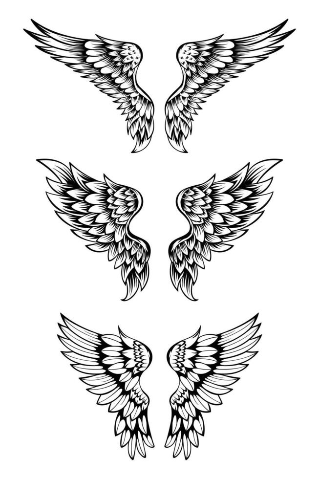 Ilustración de conjunto de colección de alas vector
